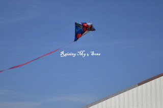 Go Fly a Kite!!!