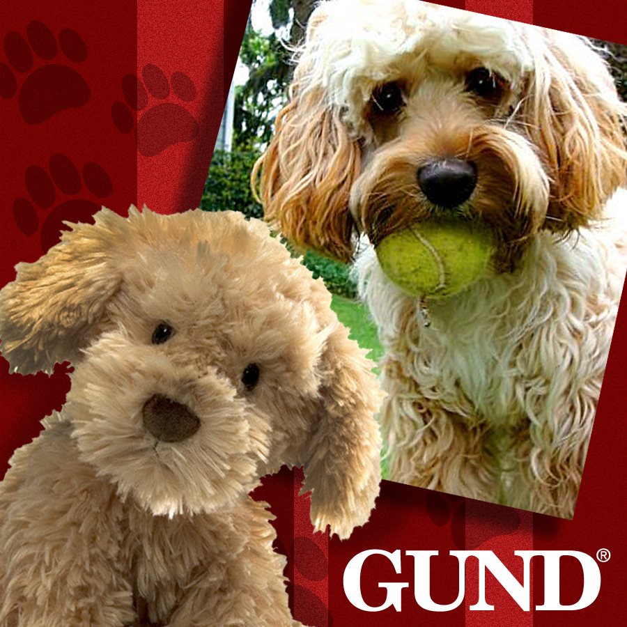 GUND Top Dog Contest!