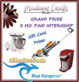 Mega GIVEAWAY from #BlueRooDeals and #MadameDealsEvents