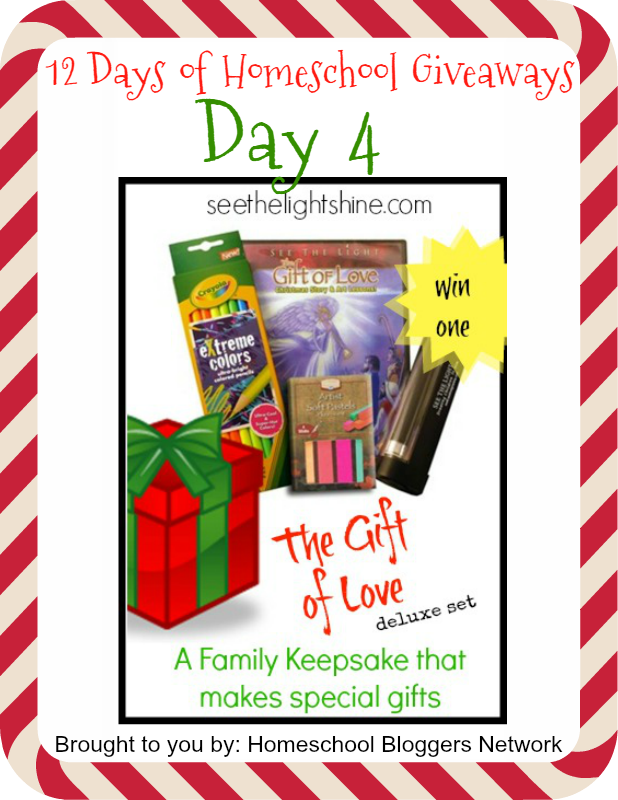 12 Days of Homeschool Giveaways (Day 4): See The Light