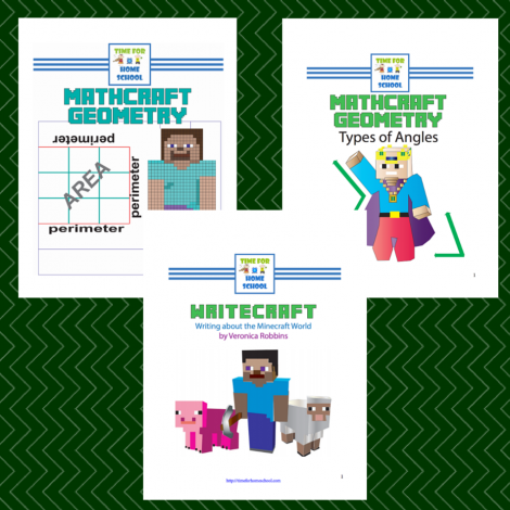 Minecraft Math and Writing Units Special