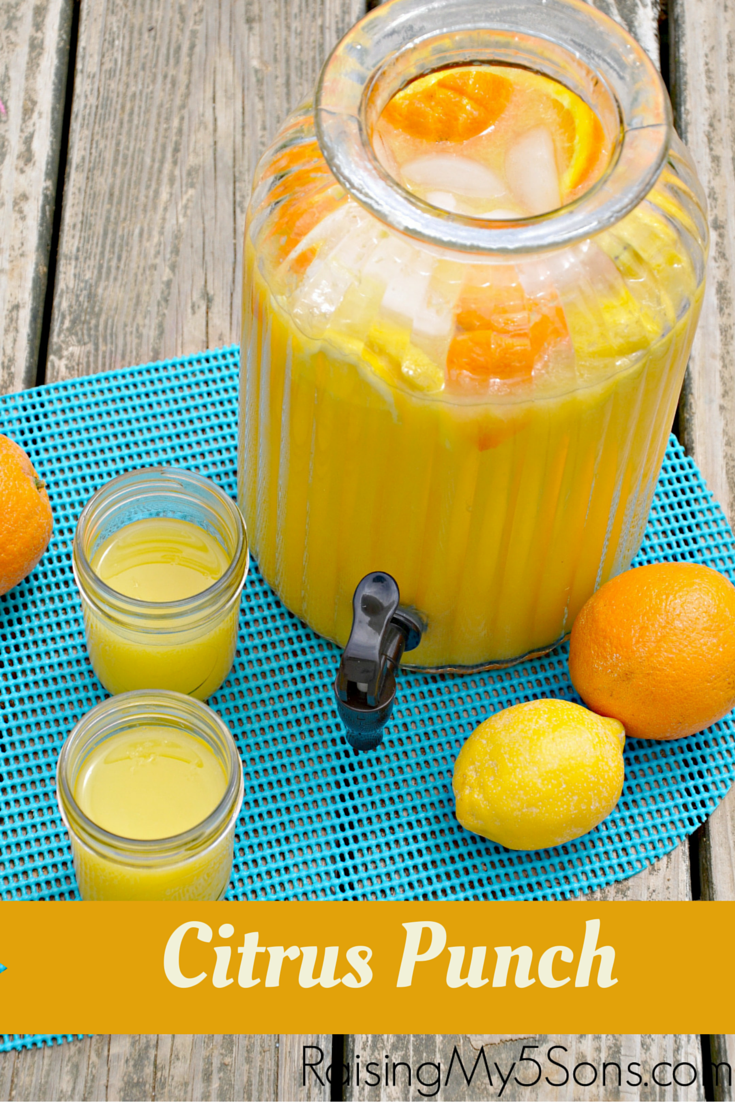 Quench Your Thirst- Citrus Punch Recipe