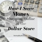 Save Money Shopping Online at the Dollar Store