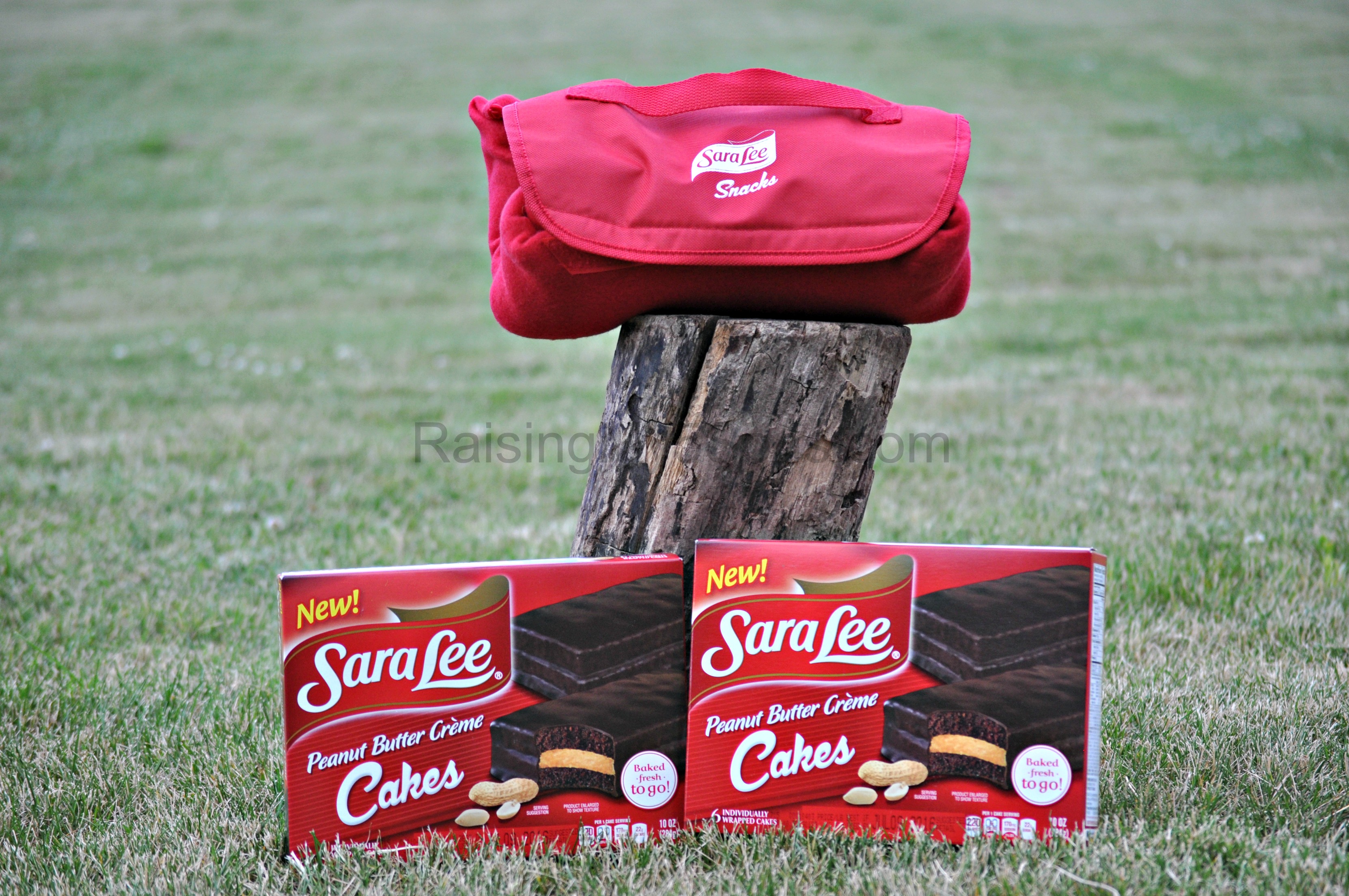 Sara Lee Snacks Review & Giveaway