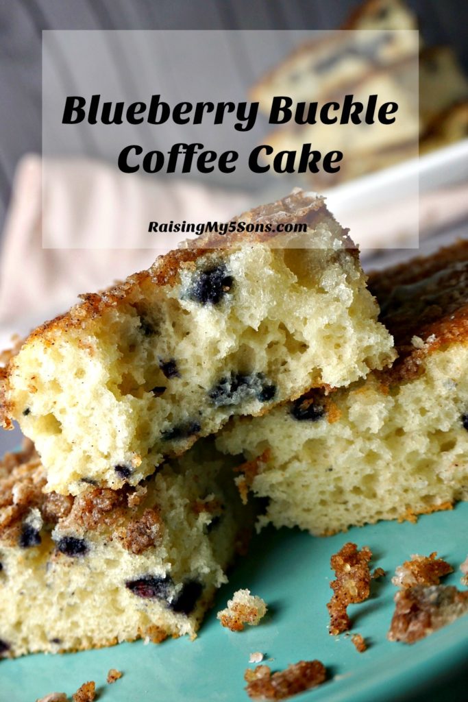 Blueberry Buckle Coffee Cake Recipe - Mandee & Co.