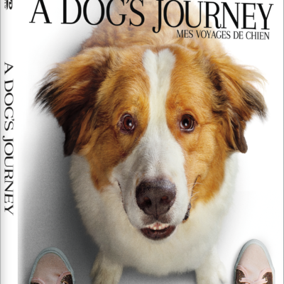 A Dog’s Journey DVD