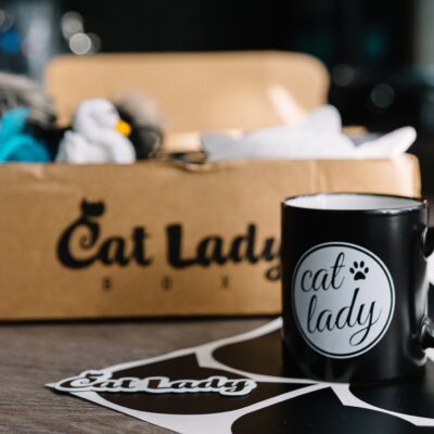 Cat Lovers- Cat Lady Box is For YOU!