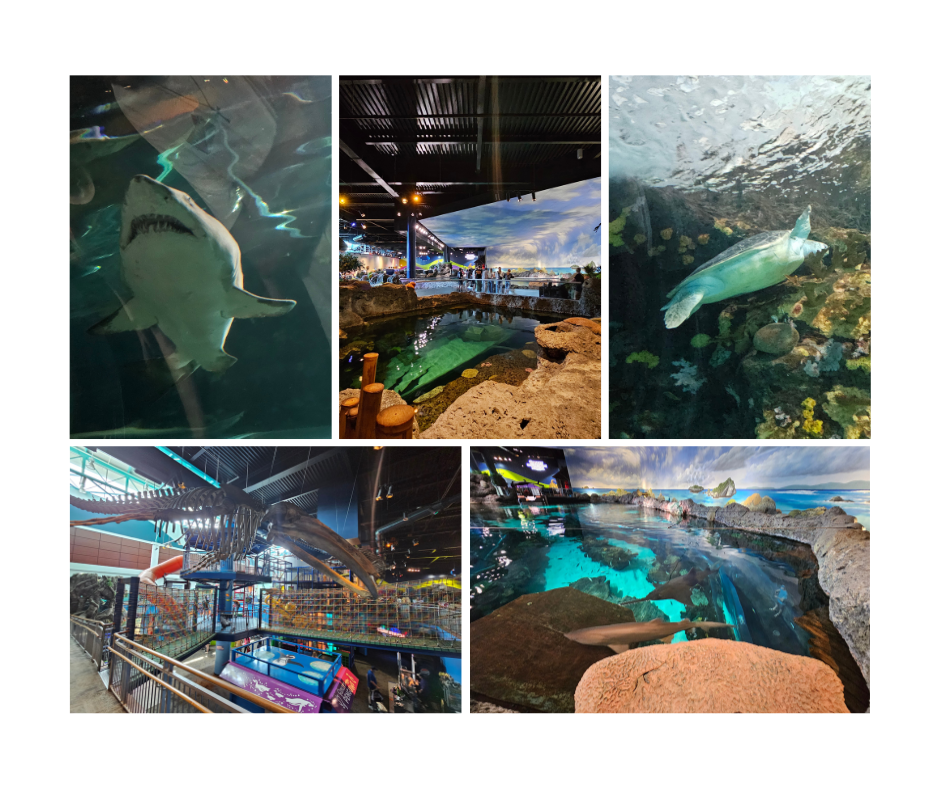 Ripley's Aquarium glass tunnel with sharks in Gatlinburg