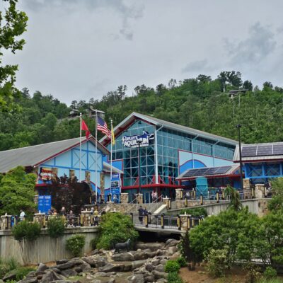 10 Ripley’s Attractions in Gatlinburg & Pigeon Forge for Families
